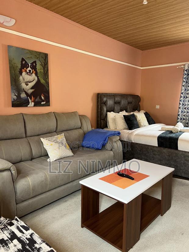 Fully Furnished Studios - thumbnail 5