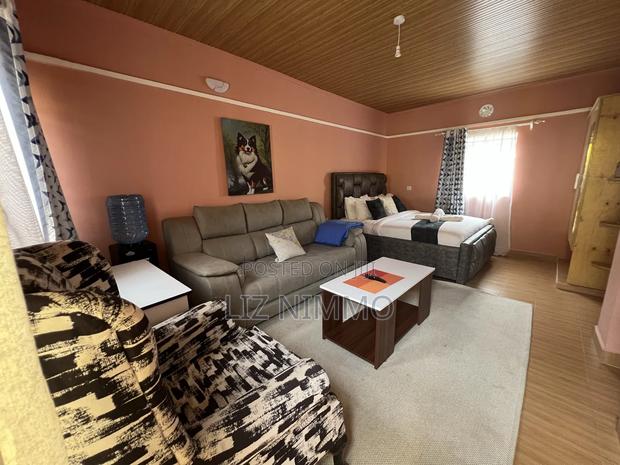 Fully Furnished Studios - thumbnail 6