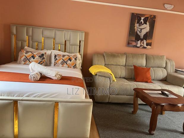 Executive Fully Furnished Studio - thumbnail 5