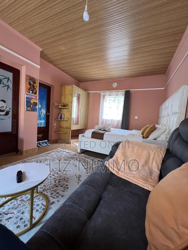 Executive Fully Furnished Studio - main view