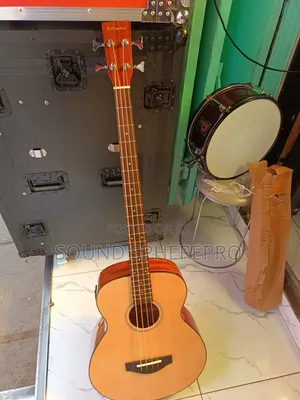 R-empire Semi Acoustic Bass Guitar
