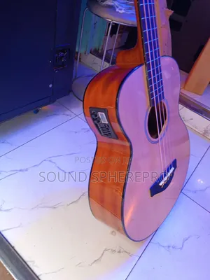 R-empire Semi Acoustic Bass Guitar