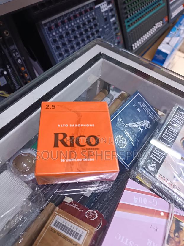 Rico 2.5 Alto -saxaphone Reed - main view