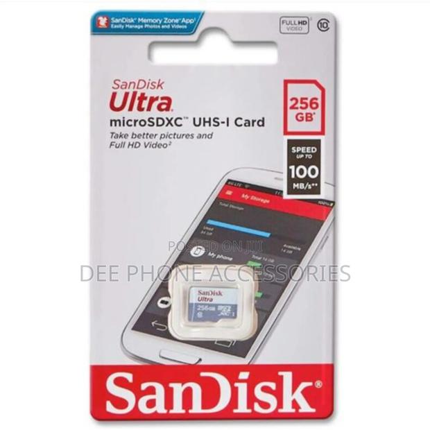 Sandisk 256 Gb Memory Card
