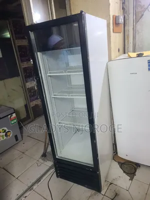 Elegant 300l Display Fridge