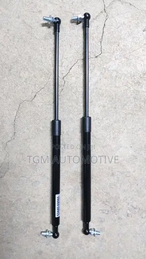 Bonnet Shocks Prado 120