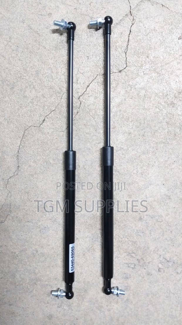 Bonnet Shocks Prado 120 - main view