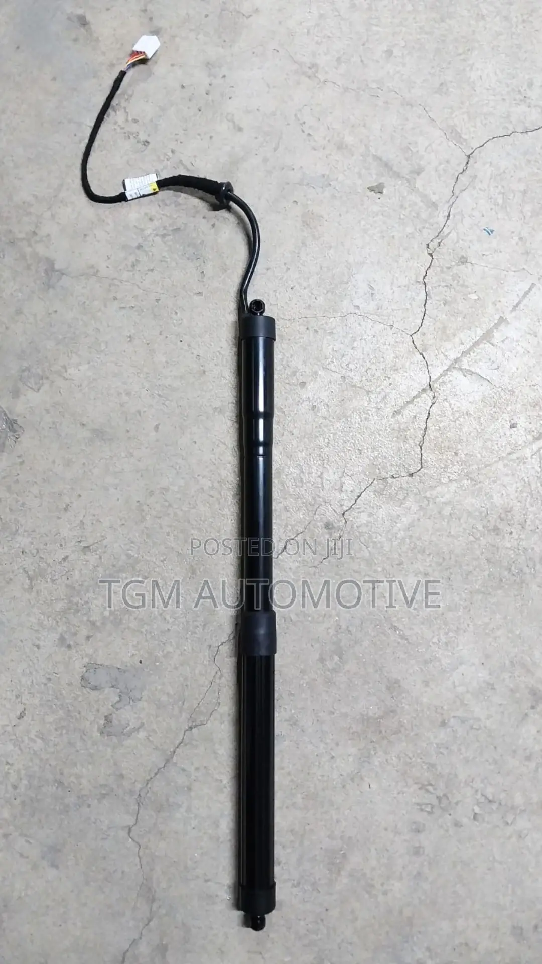 Electric Boot Shocks Rav 4 2019 - Pair