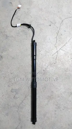 Electric Boot Shocks Rav 4 2019 - Pair