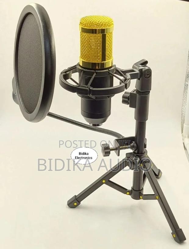 Bm-800 Condenser Microphone - main view