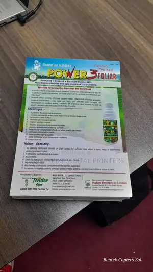 A5 Flyers Printing With Sleek Design