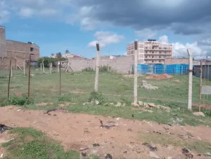 Prime 50 by 100ft Plot Kyumbi Junction Price 2.7m
