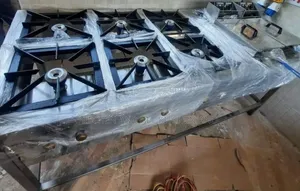 Blissful Quality Combined Cooking Unit