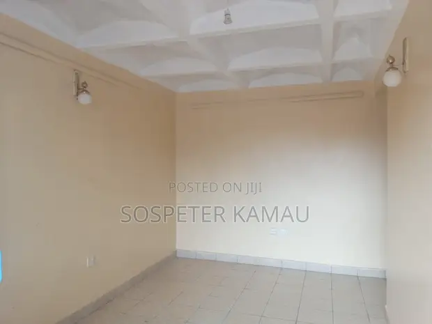1bdrm Block of Flats in Gitaru for rent