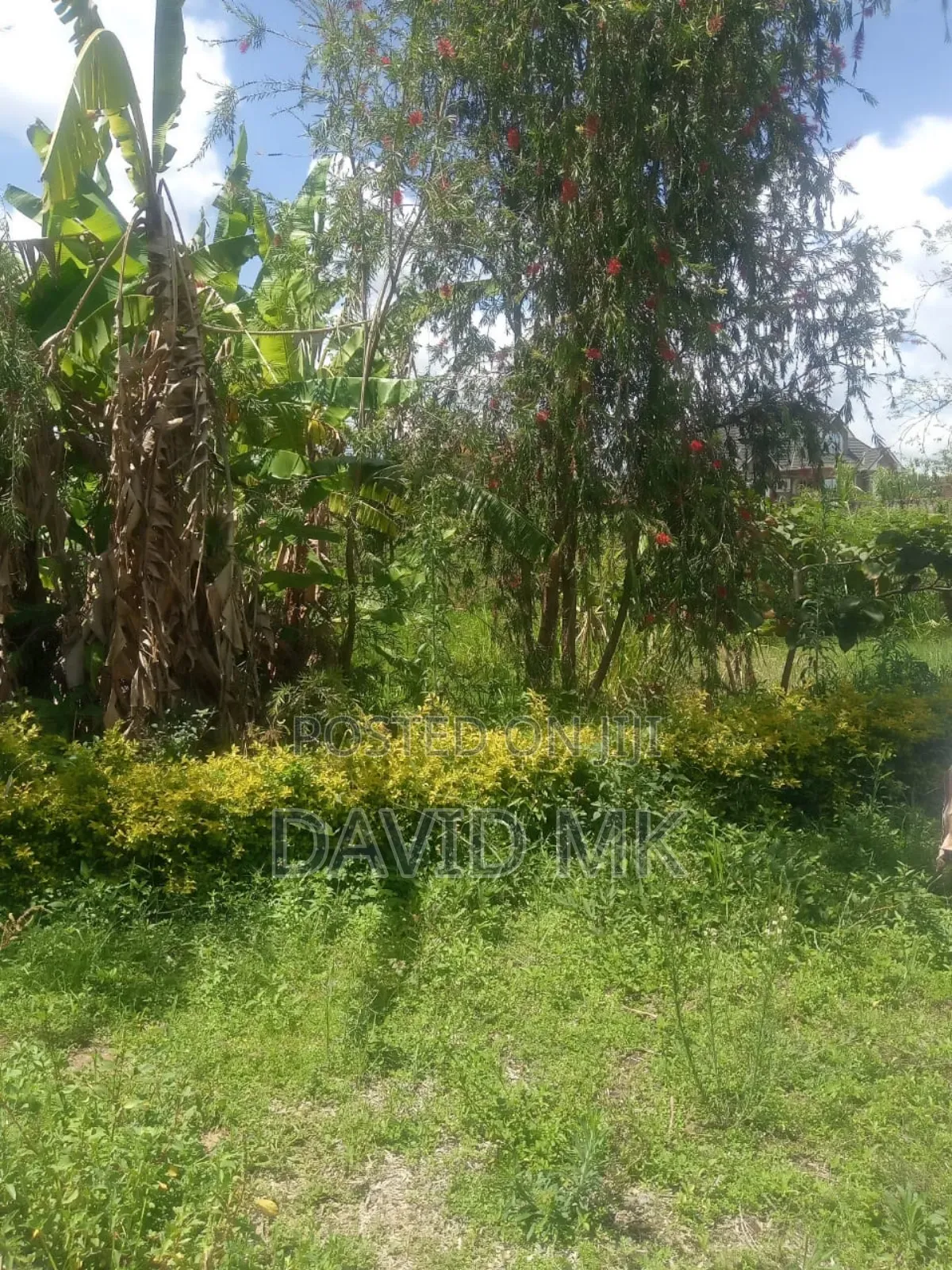 1/4 Plot Kahawa Sukari