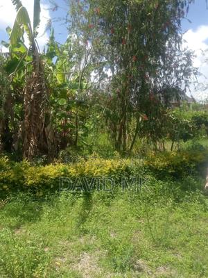 1/4 Plot Kahawa Sukari - main view