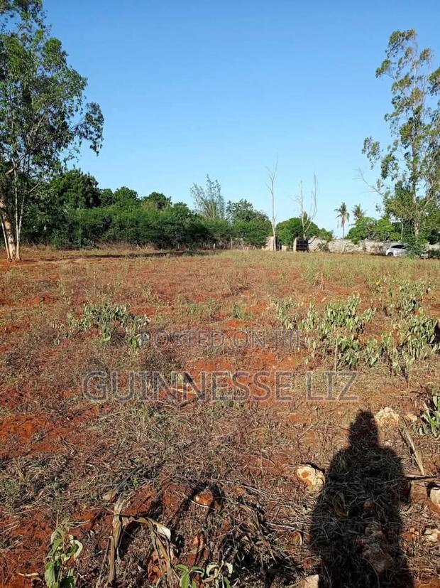 Kilifi Bofa - thumbnail 4