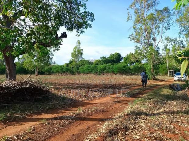 Kilifi Bofa - thumbnail 6