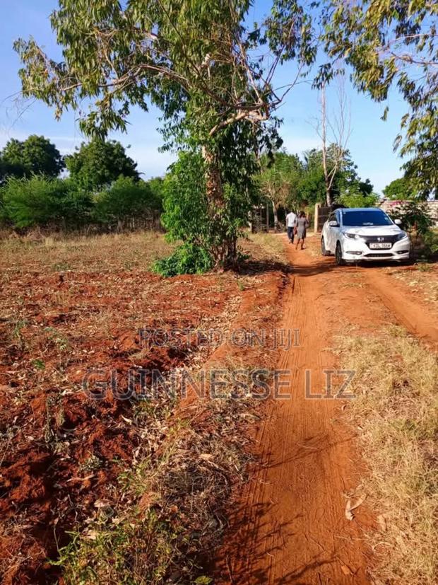 Kilifi Bofa - thumbnail 8