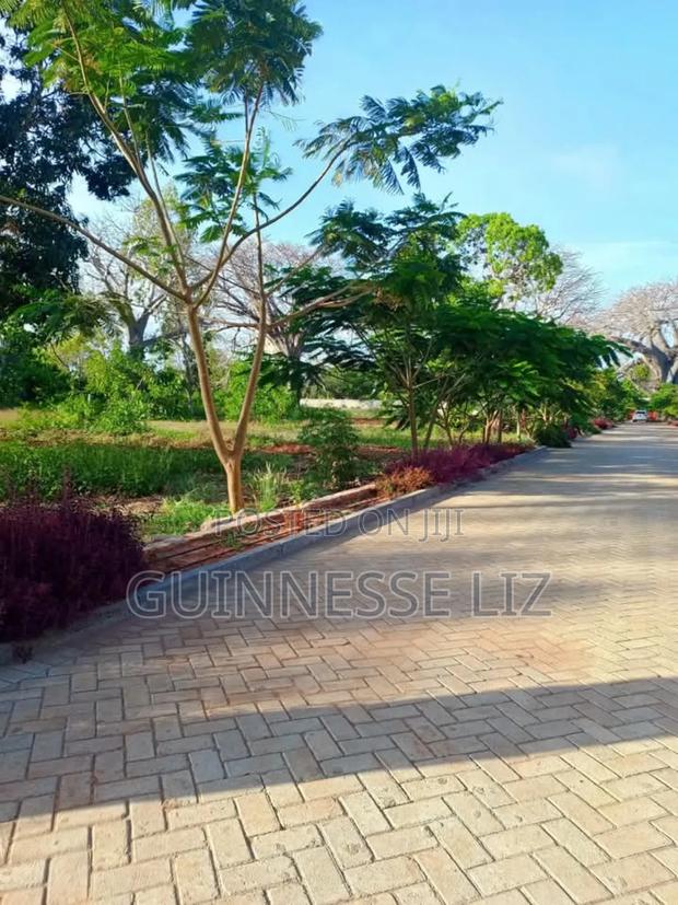 Kilifi Bofa - thumbnail 9