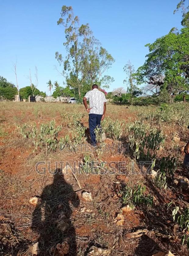 Kilifi Bofa - thumbnail 10