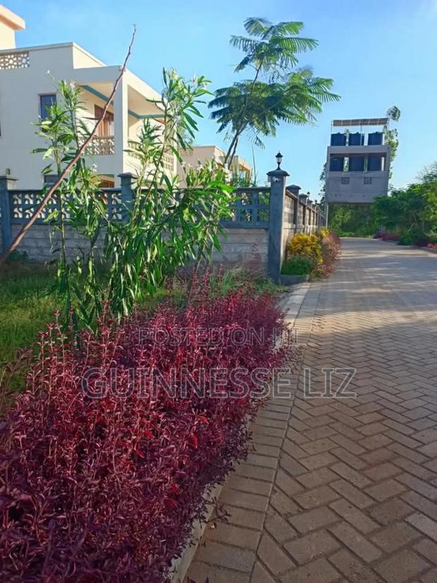 Kilifi Bofa - thumbnail 11