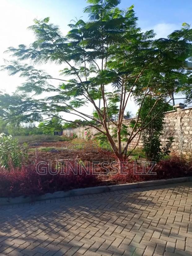 Kilifi Bofa - thumbnail 12