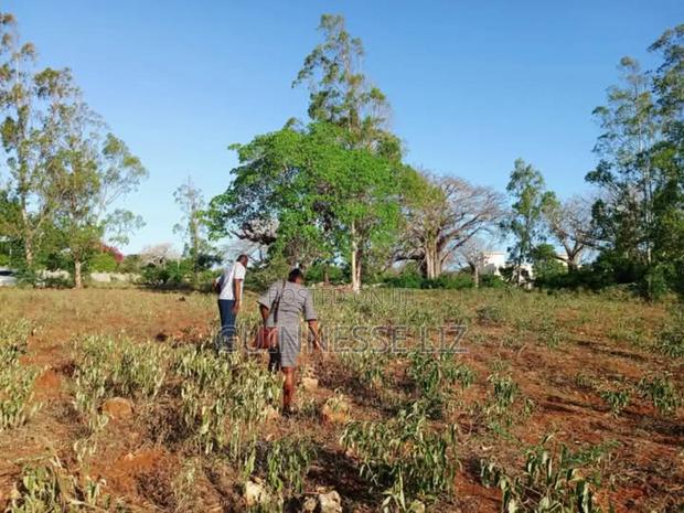 Kilifi Bofa - thumbnail 13