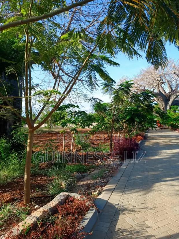 Kilifi Bofa - thumbnail 15