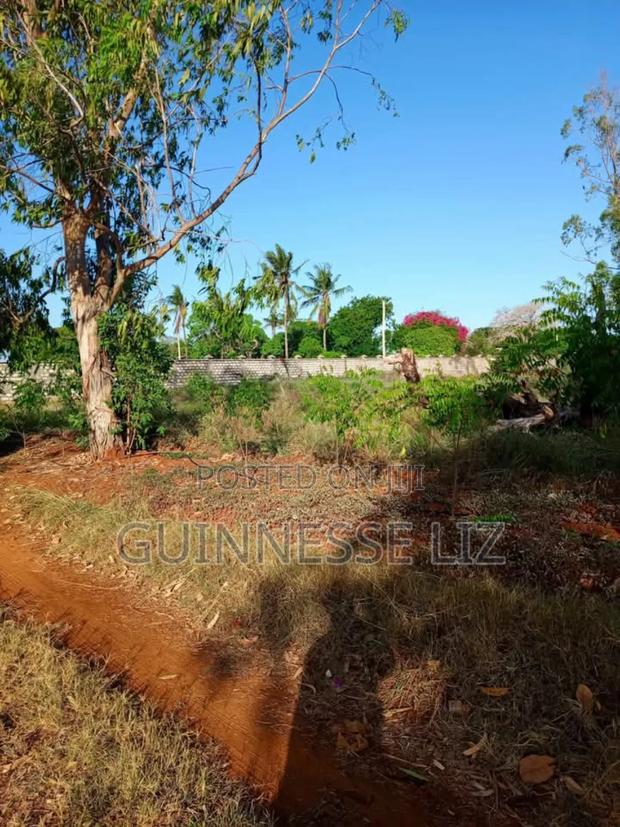 Kilifi Bofa - thumbnail 17