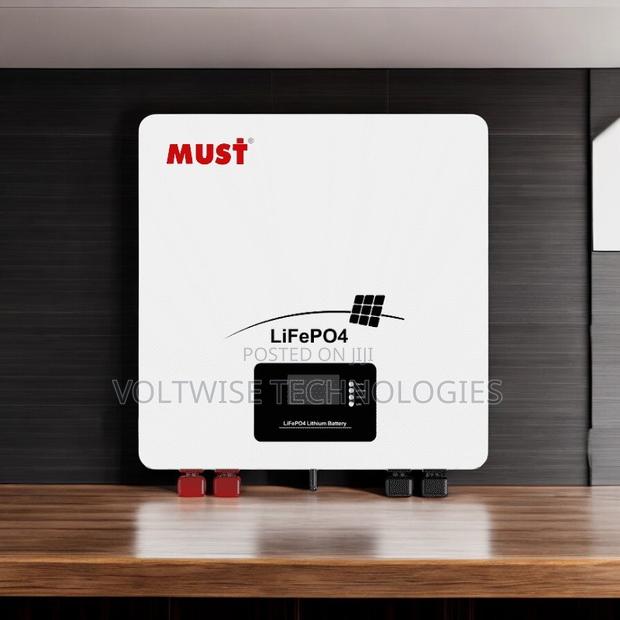 Must 48v Lifepo4 Battery Pack for Inverter Systems