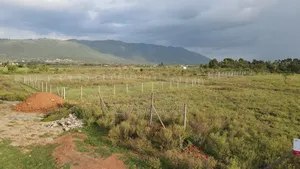 Prime 1/8 Acre Pieces Kimuka