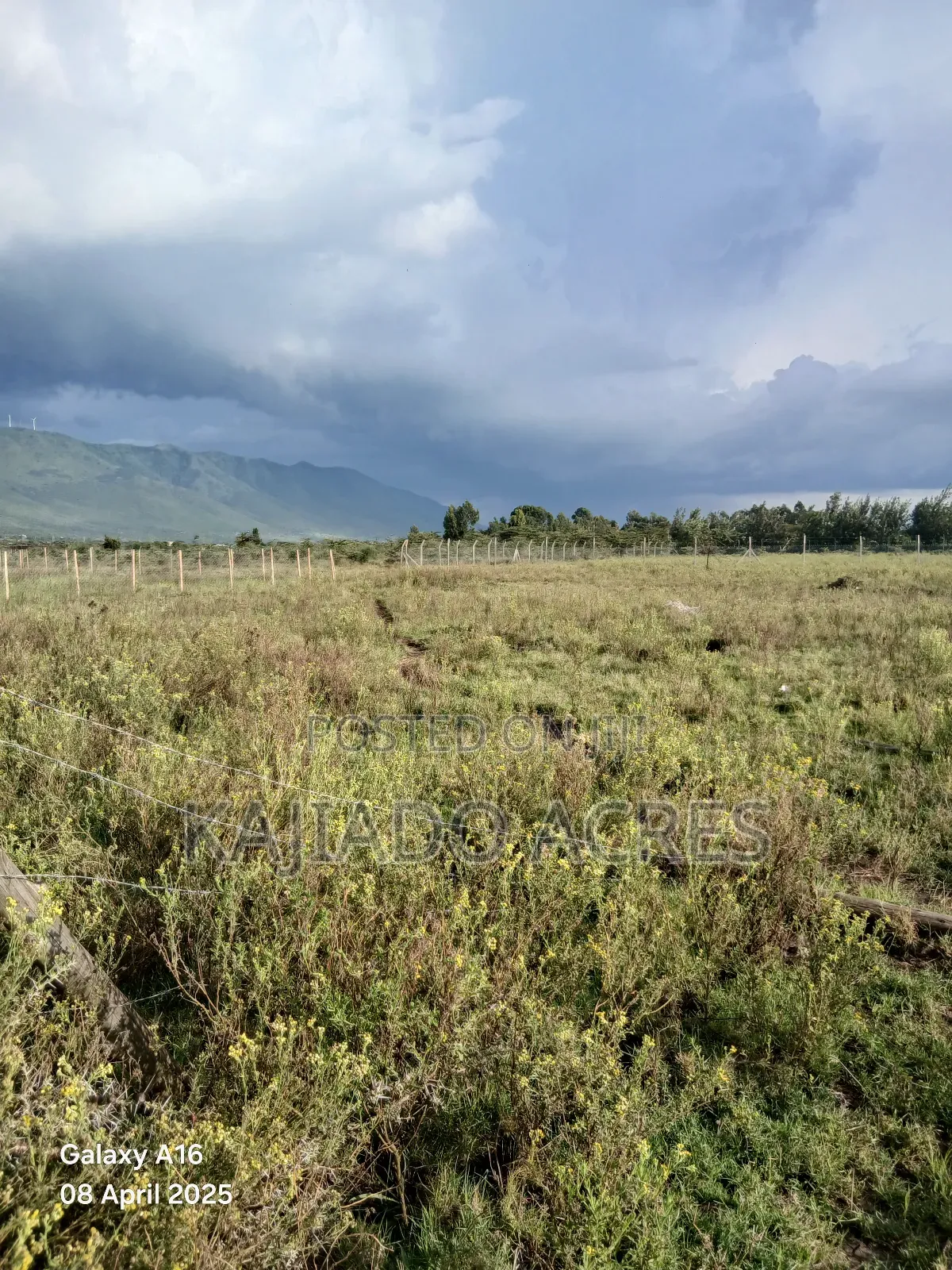 Prime 1/8 Acre Pieces Kimuka