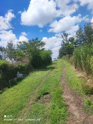10 Acres Along Isinya Kiserian Road on Quick Sale
