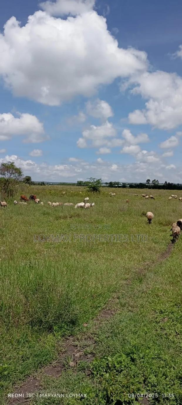 10 Acres Along Isinya Kiserian Road on Quick Sale - thumbnail 6