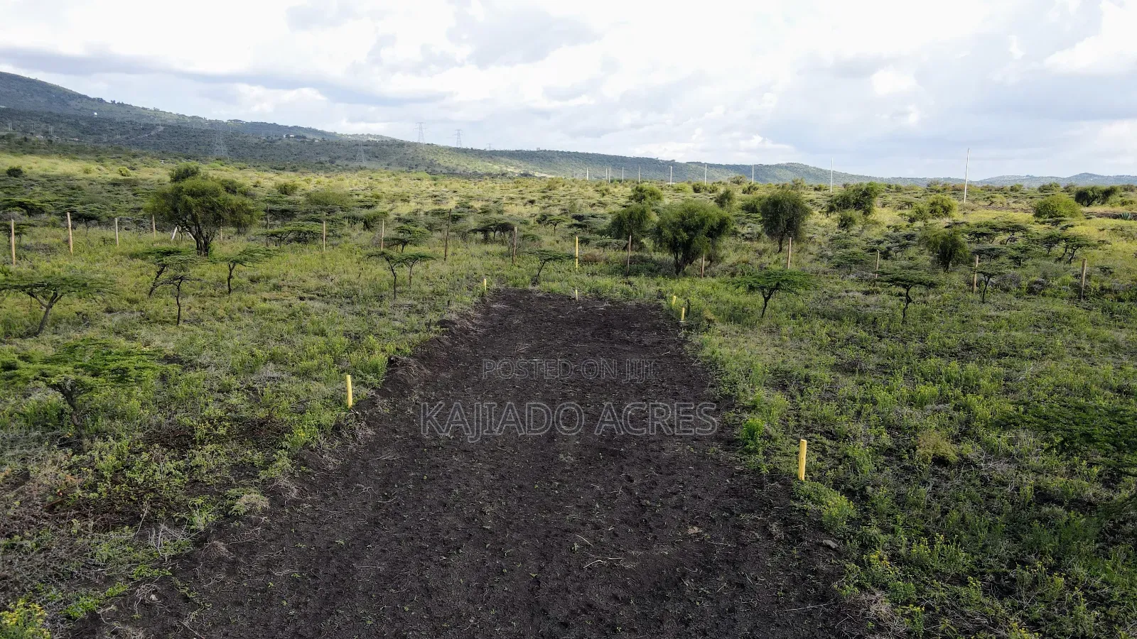 1/8 Acre Kisamis at
