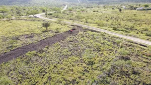 1/8 Acre Kisamis at