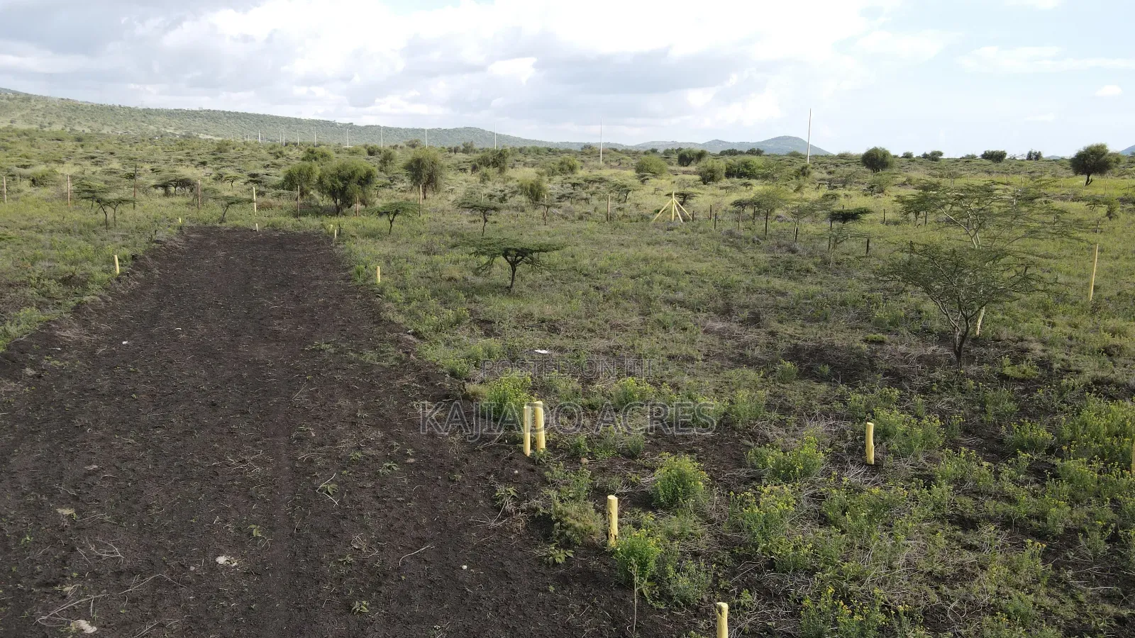 1/8 Acre Kisamis at