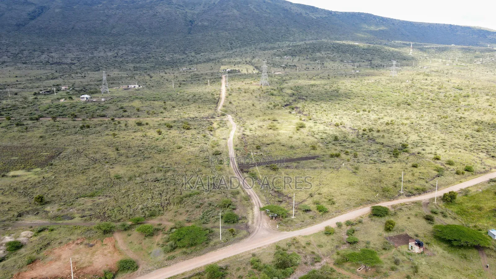 1/8 Acre Kisamis at