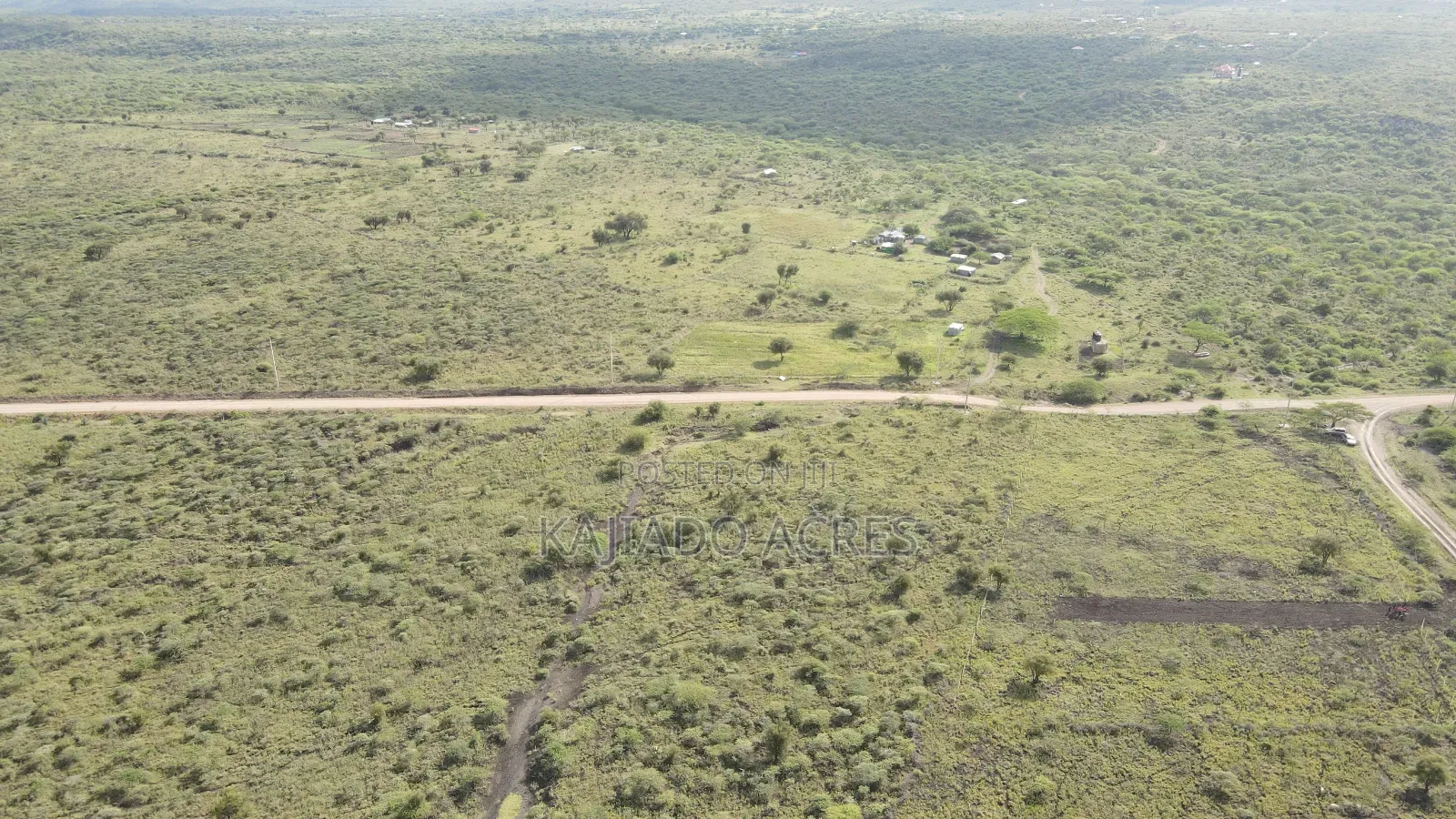 1/8 Acre Kisamis at