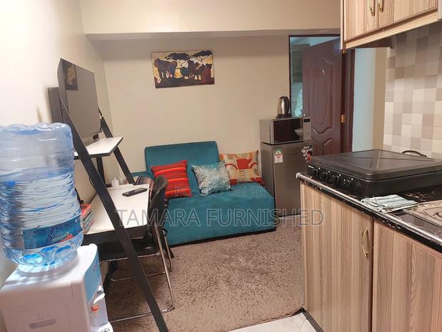 Tamara Studio Apartment Lower Milimani Nakuru - main view