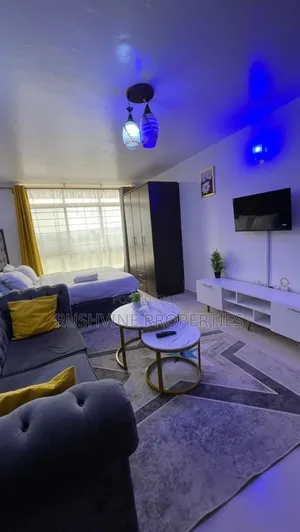 Cozy Fully Furnished Studio Airbnb Ruaka