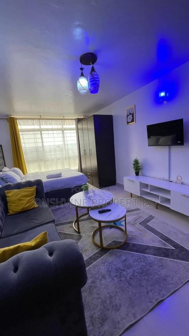 Cozy Fully Furnished Studio Airbnb Ruaka