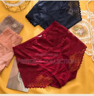 Plus Size Lace Panties - thumbnail 2