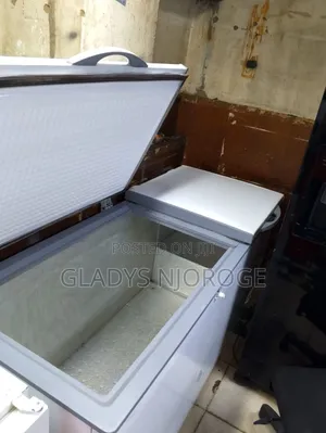 Elegant Deep Freezer 750l
