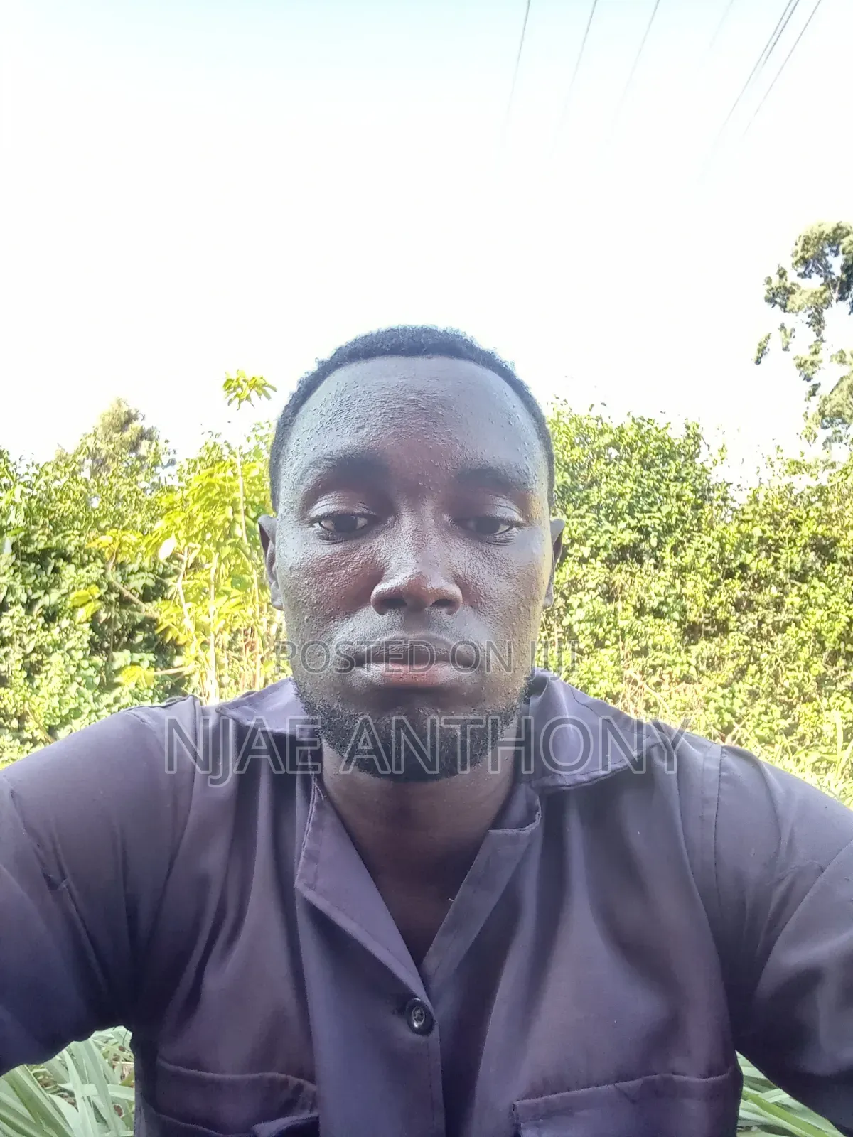 Electrical and Electronics Technician