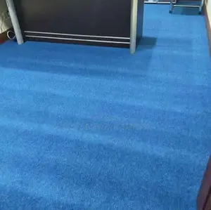 Office-Ready Delta Wall to Wall Carpets