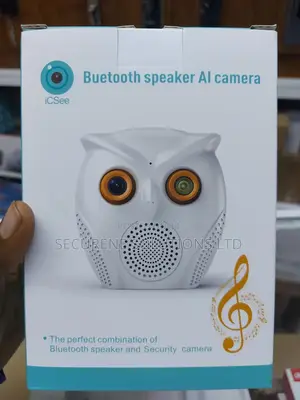 Hikwifi 3mp Indoor Ai Smart Owl Camera Music Playback