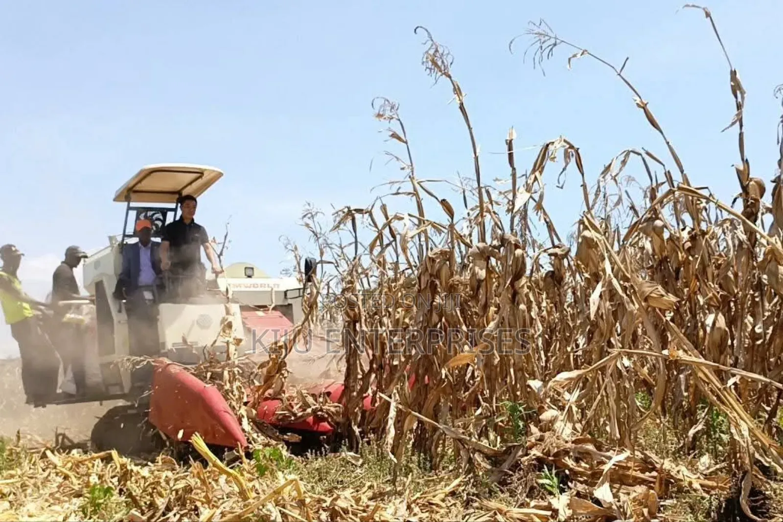 Harvester Machine Eg,Maize, Sorghum