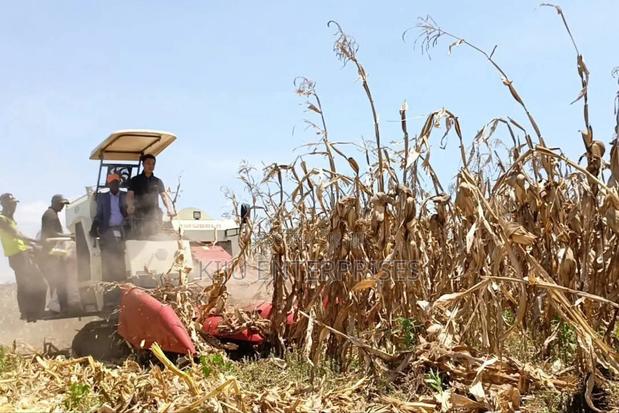 Harvester Machine Eg,Maize, Sorghum - thumbnail 3